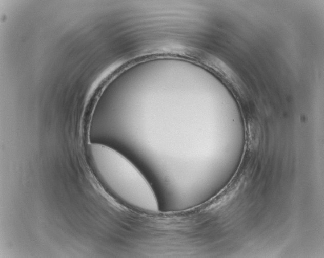 X0000066960780200603240934
