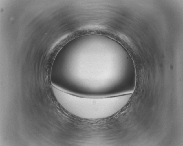 X0000066960872200603240933