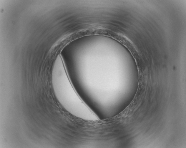 X0000066960919200603240931