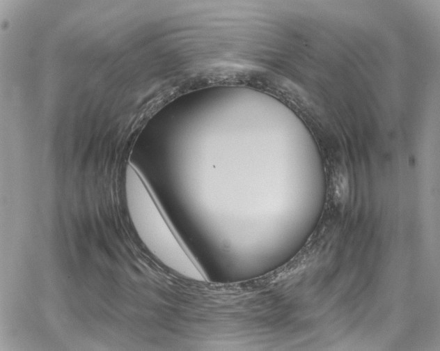 X0000066960964200603240931
