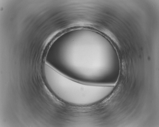 X0000066960972200603240931