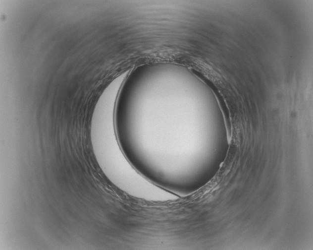 X0000066961010200603240930