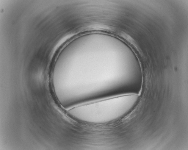 X0000066961024200603240930
