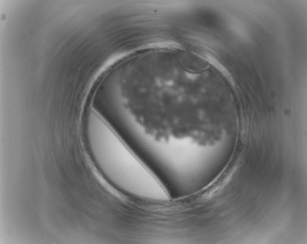 X0000066961037200603240930