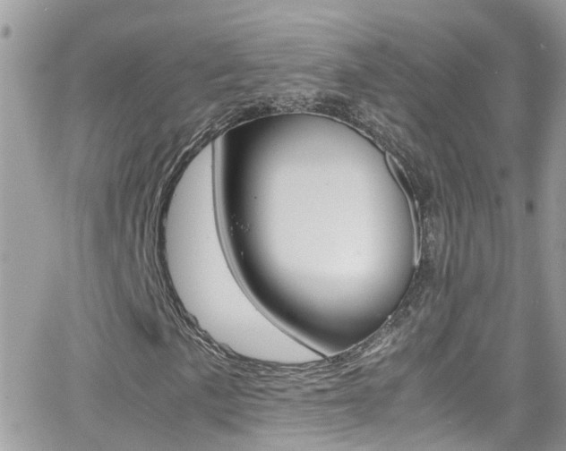 X0000066961057200603240930