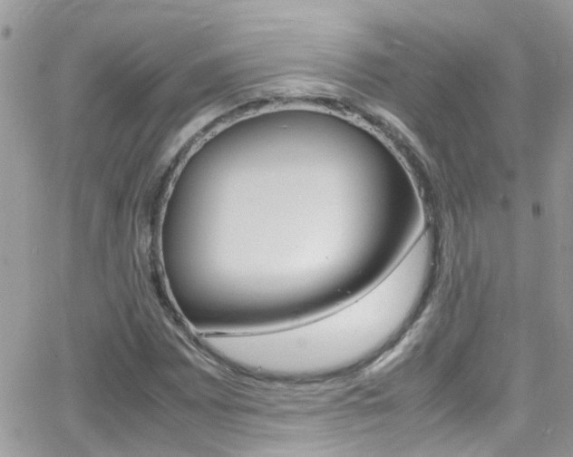 X0000066961065200603240930