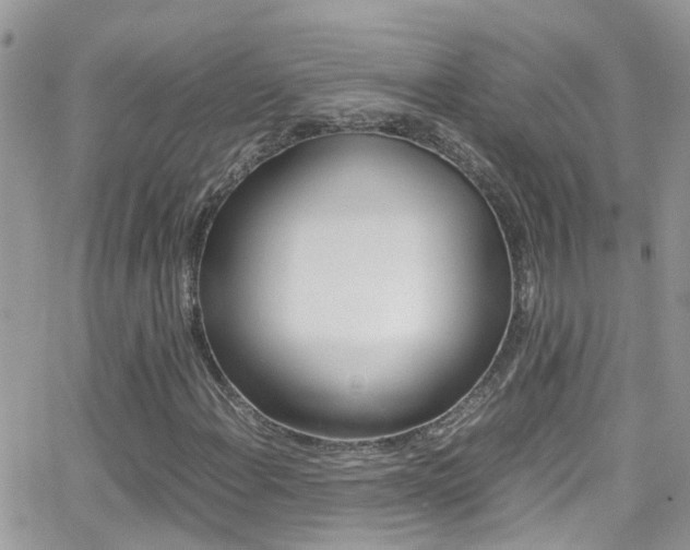 X0000066961108200603240928