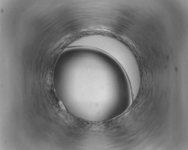 X0000066961110200603240928