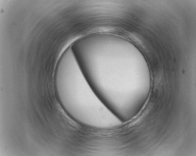 X0000066961178200603240928