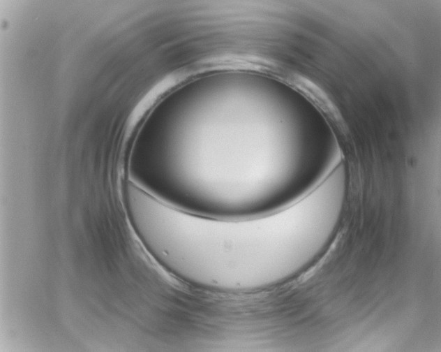 X0000066961188200603240928