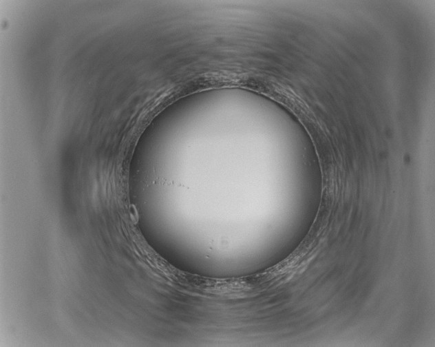 X0000066961201200603240927