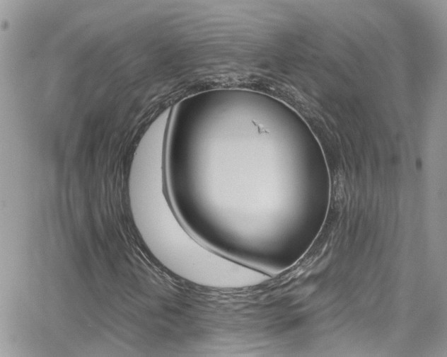 X0000066961202200603240927