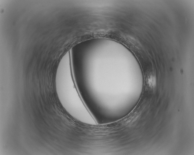 X0000066961252200603240927