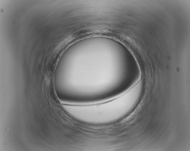 X0000066961257200603240927