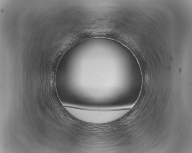 X0000066961300200603240925