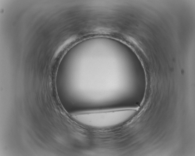 X0000066961307200603240925
