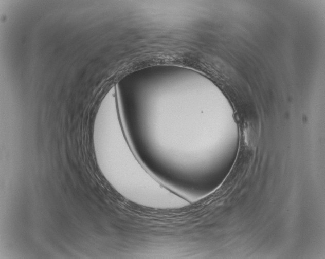 X0000066961347200603240925