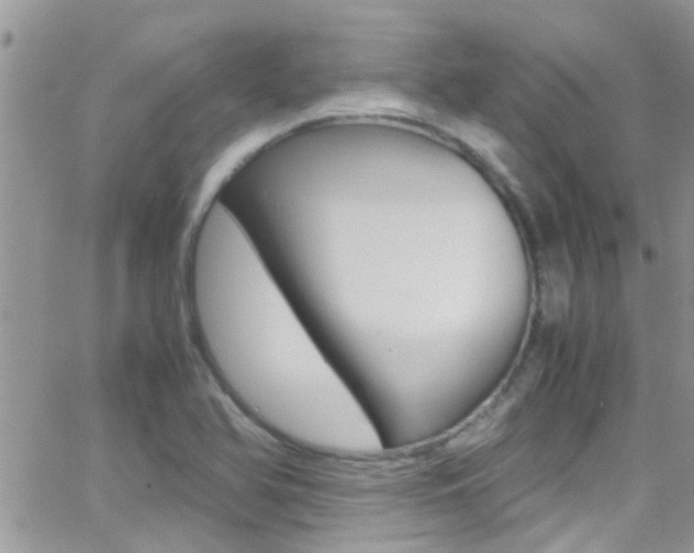 X0000066961366200603240925