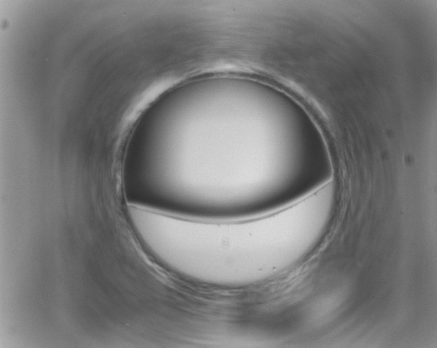 X0000066961367200603240925