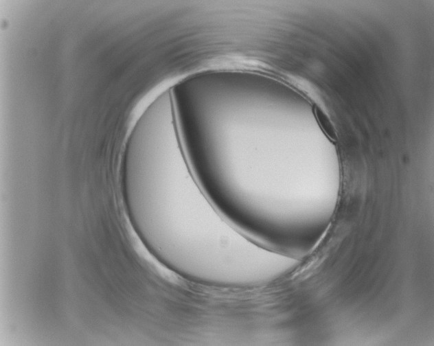 X0000066961387200603240924