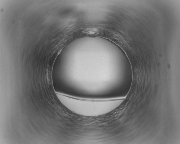 X0000066961442200603240923