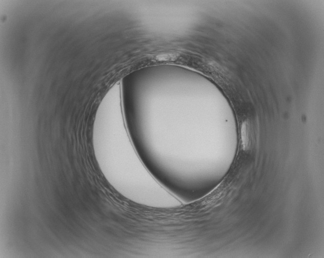 X0000066961443200603240923