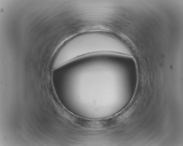 X0000066961457200603240923