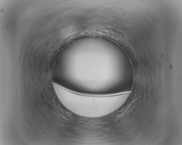 X0000066961490200603240922