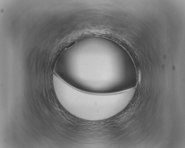 X0000066961492200603240922