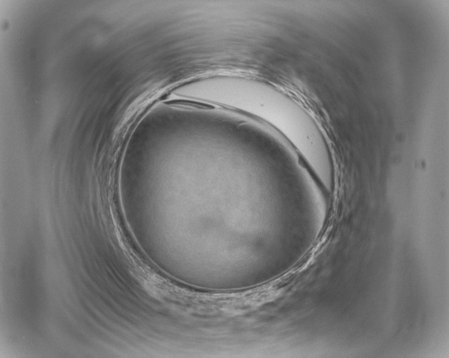 X0000066960001200603241221