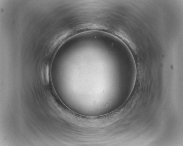 X0000066960014200603241221