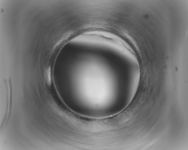 X0000066960020200603241220