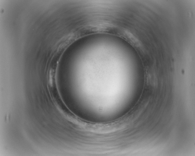 X0000066960026200603241220