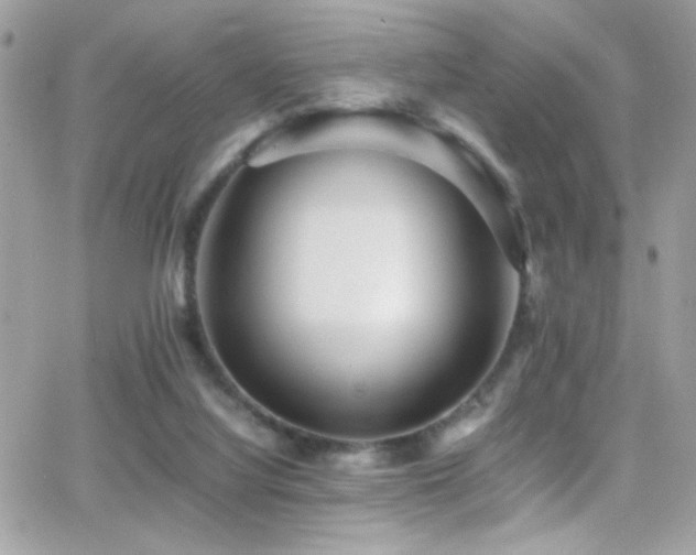 X0000066960068200603241219