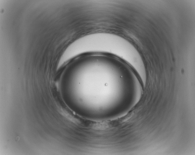 X0000066960077200603241220