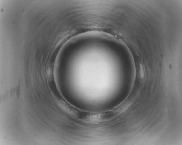 X0000066960084200603241220
