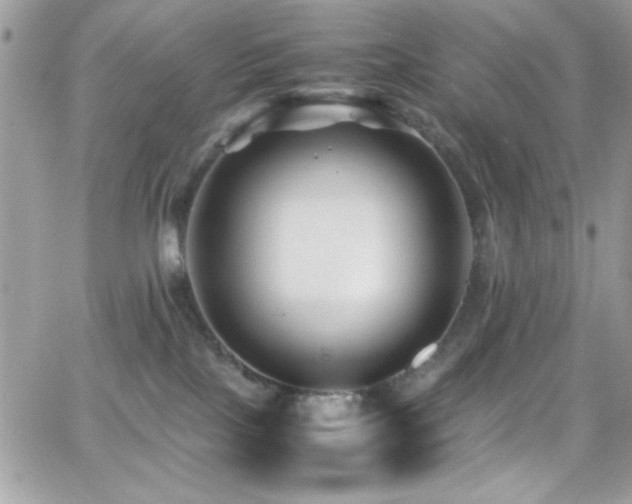 X0000066960089200603241220
