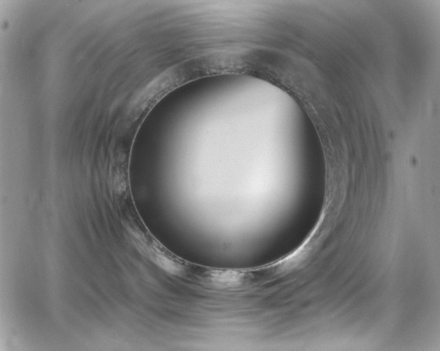 X0000066960144200603241218
