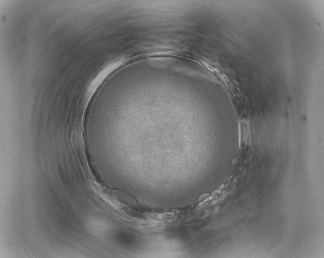 X0000066960147200603241218