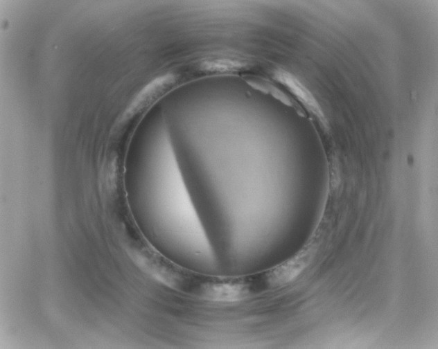 X0000066960163200603241218