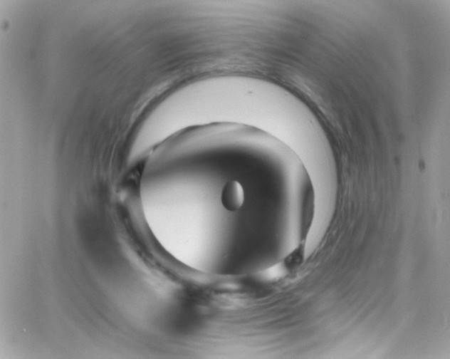X0000066960164200603241218