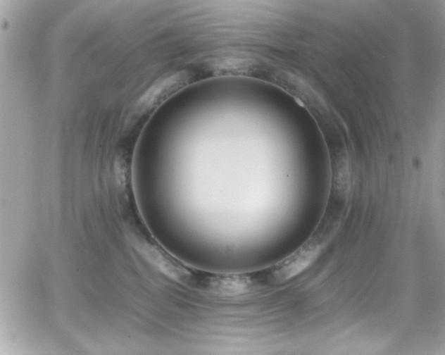 X0000066960282200603241217