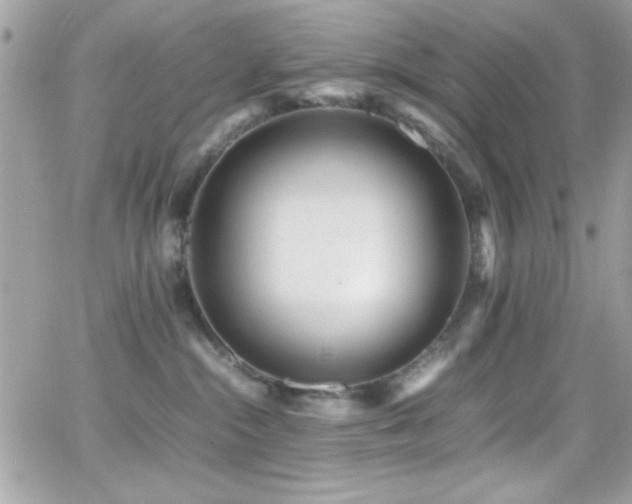 X0000066960284200603241217