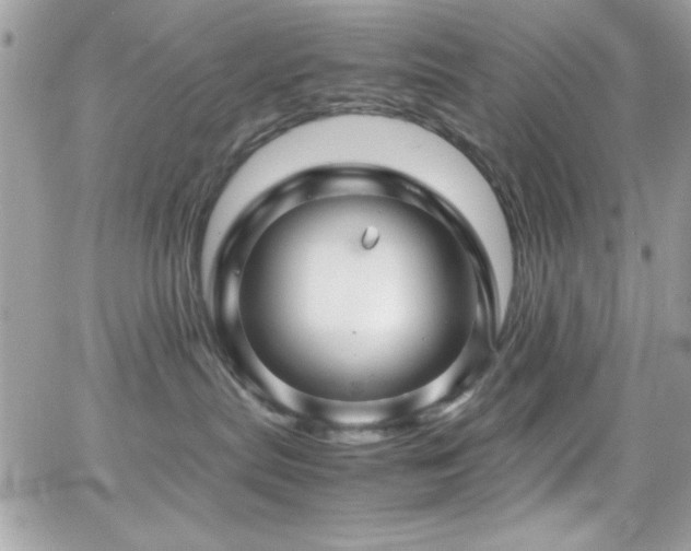 X0000066960287200603241217