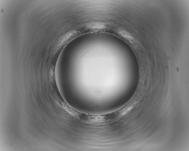X0000066960288200603241217