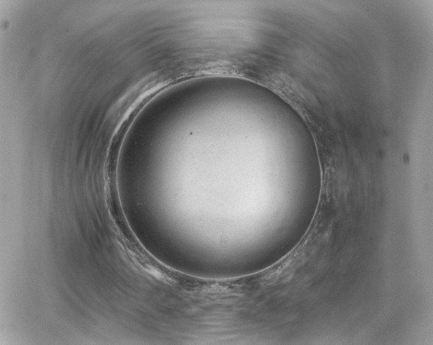 X0000066960290200603241216