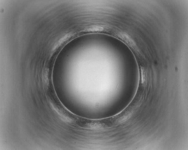 X0000066960300200603241216