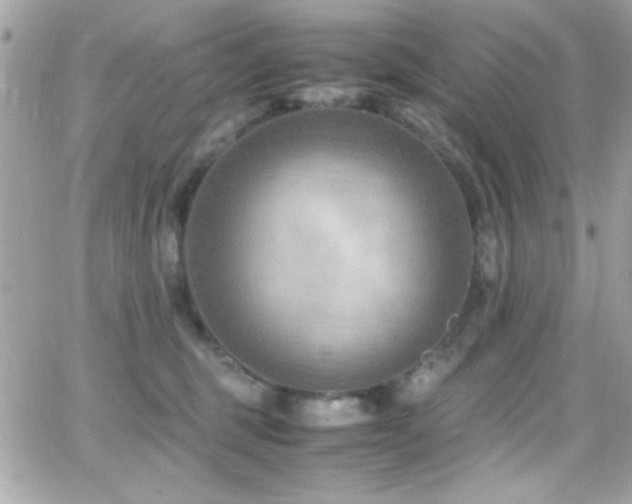 X0000066960375200603241215