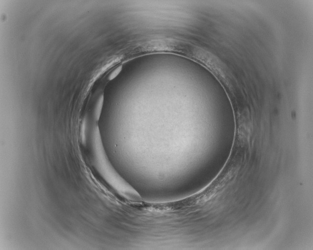 X0000066960386200603241214