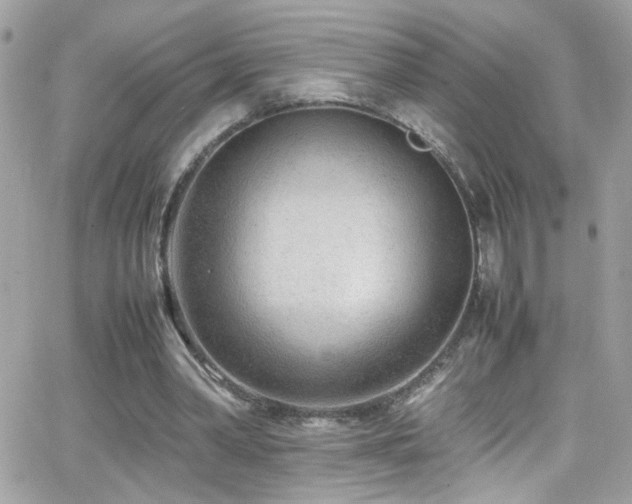 X0000066960390200603241214